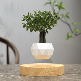 盆景;塑料工艺品;创意夜灯