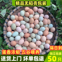 50ö�u�����r���u�������r��ɢ�B�G�����u���t���u��