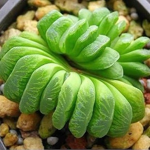 ȶֲ¶ϵлԾGֲkBϲꎛݗ