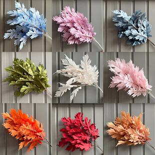 ���������~�~�Ļ�c�Ҿ��bzӰ���ߑ����Ĕz����·���ٻ�