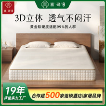 ϯ��˼���|20cm��1��8&times;2�ת������b����ܛ�|�Ӷ���ܛӲ�m�г���