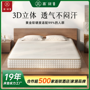 ϯ��˼���|20cm��1��8&times;2�ת������b����ܛ�|�Ӷ���ܛӲ�m�г���