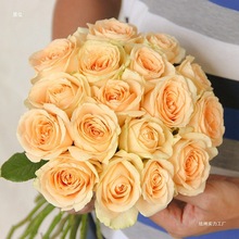 堡仕云南昆明鲜花基地直发红玫瑰花水养百合花束鲜切花向日葵花材