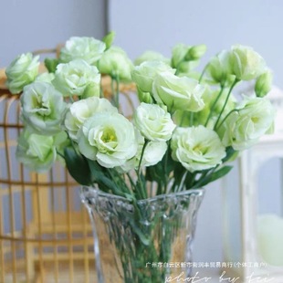 ��۹��r�����r�������҃�ˮ���r�л��r��ֱ�l�S��ֱ�N���]