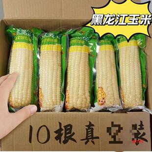 ��10������b���|����������Ŵ�������r��Ŵճ���׵�֬�����ЋD