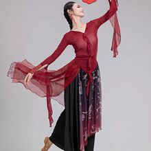 长袖T恤女古典舞民族舞身韵纱衣飘逸仙气成人艺考演出舞蹈上衣