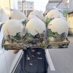 6348搪胶软胶恐龙蛋儿童恐龙仿真动物模型霸王龙蛋男孩生日礼物批