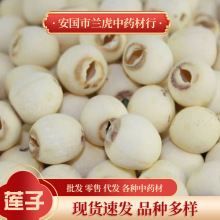 ����ș��ɏ��ĥƤȥо��ș������Ƀ���șʳͬԴ�ӱ��a���w���o��