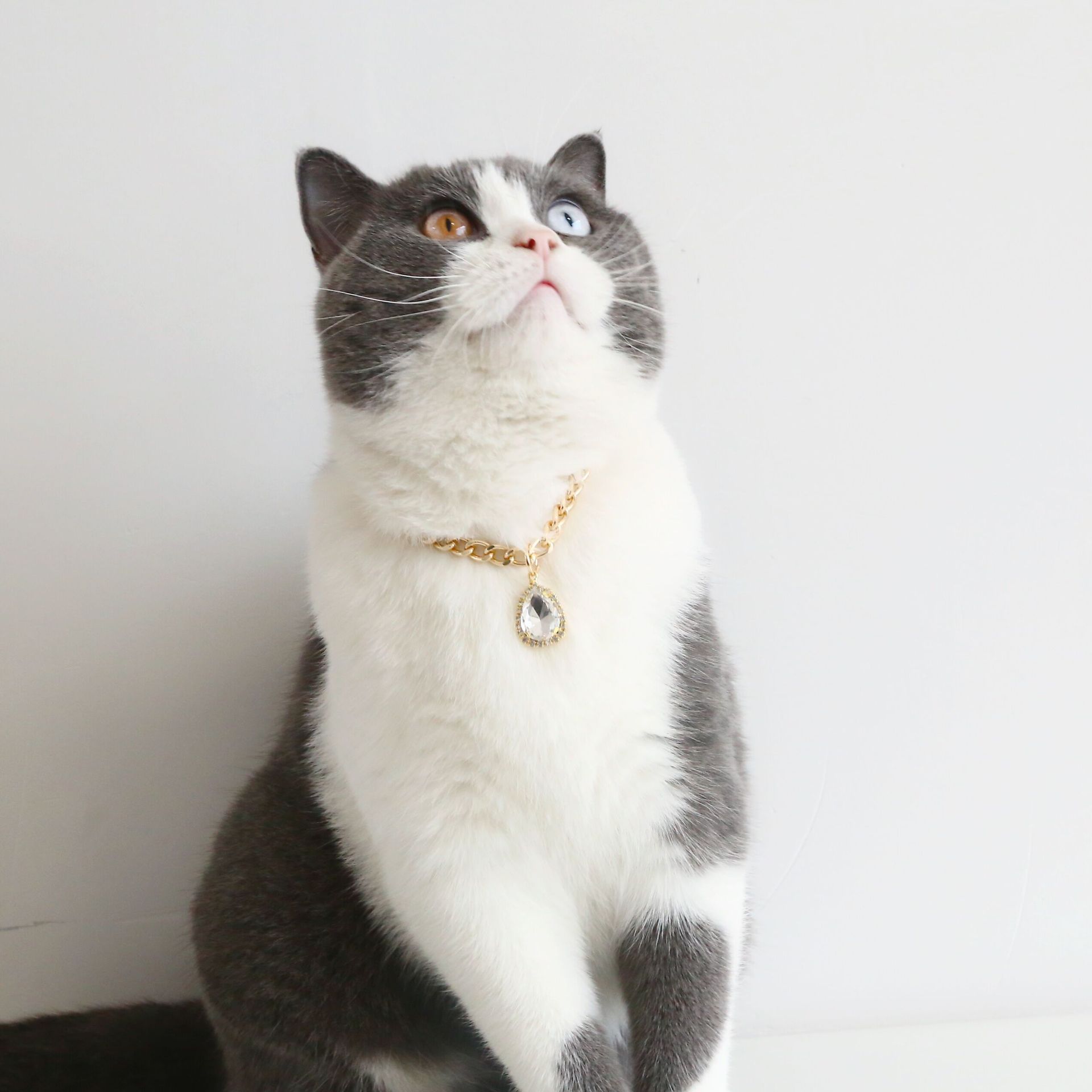 QQ图片20211027110806