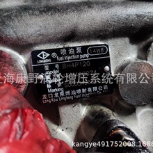 适用上柴喷油泵BH6P120 5559 S00003911+01和5161A S00000460+01