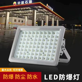 防爆灯;荧光灯;投光灯