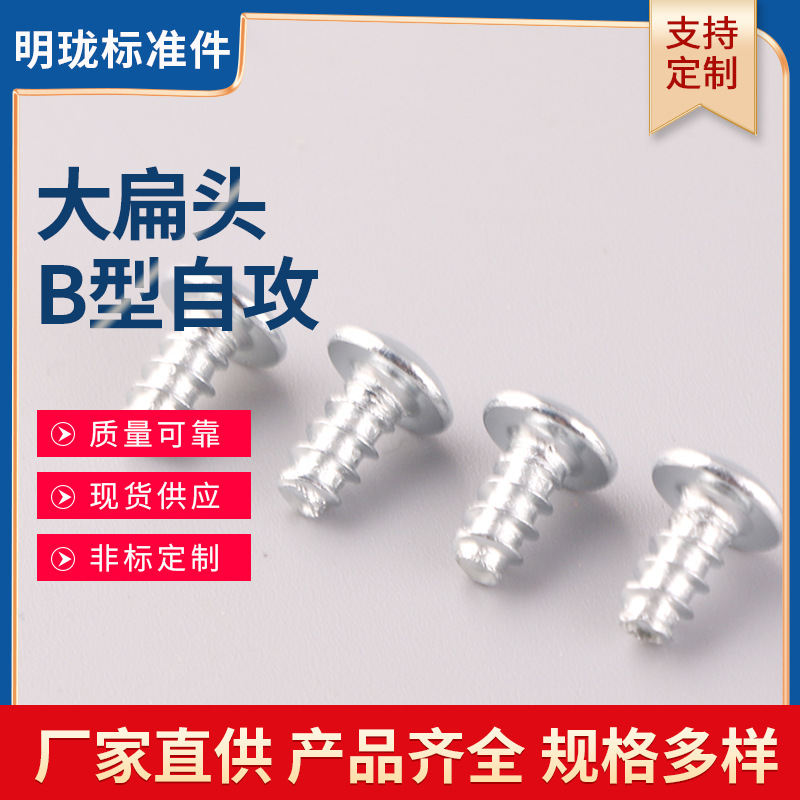 厂家生产 供应 大扁头B型自攻螺丝 镀白锌 紧固件连接件