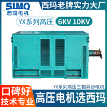 ����YX6kv�߉�YX-4503-4��Ч�߉�1000kW���ஐ��늙CIP23��sIC01