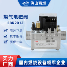 ��ȼ��Ȼ��ȼ���y늴��y���ܱڒ�t���ERCO EBR2012
