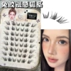 Glue-free diffused fox eyelashes