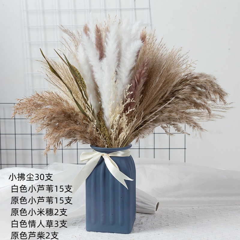 アマゾンはよく売れています。葦の花の花束です。|undefined