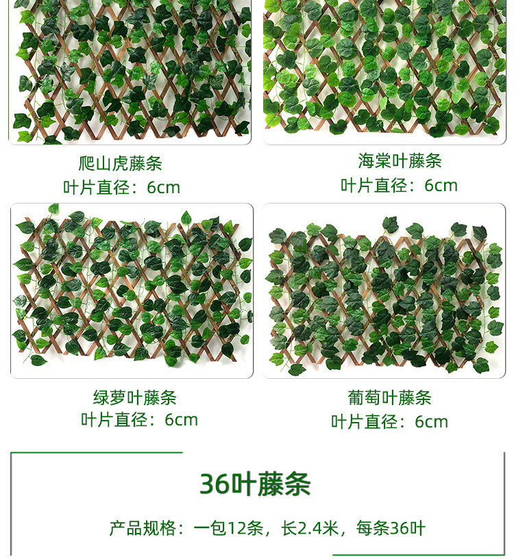 绿植藤条详情_03.jpg