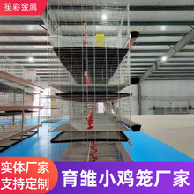 H�����rС�u�\�Bֳ���r�������Bֳ��ֳ�������S�Pʳ���O���u�\