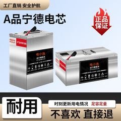 电动车锂电池48v60v72v两轮三四轮车外卖快递大单体磷酸铁锂电池