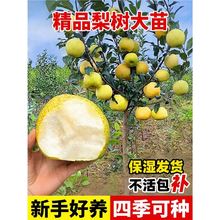 ���������ڼ޽�������ͥԺ�����ϱ����Nֲ�ش��͟��ͺ�����Y��