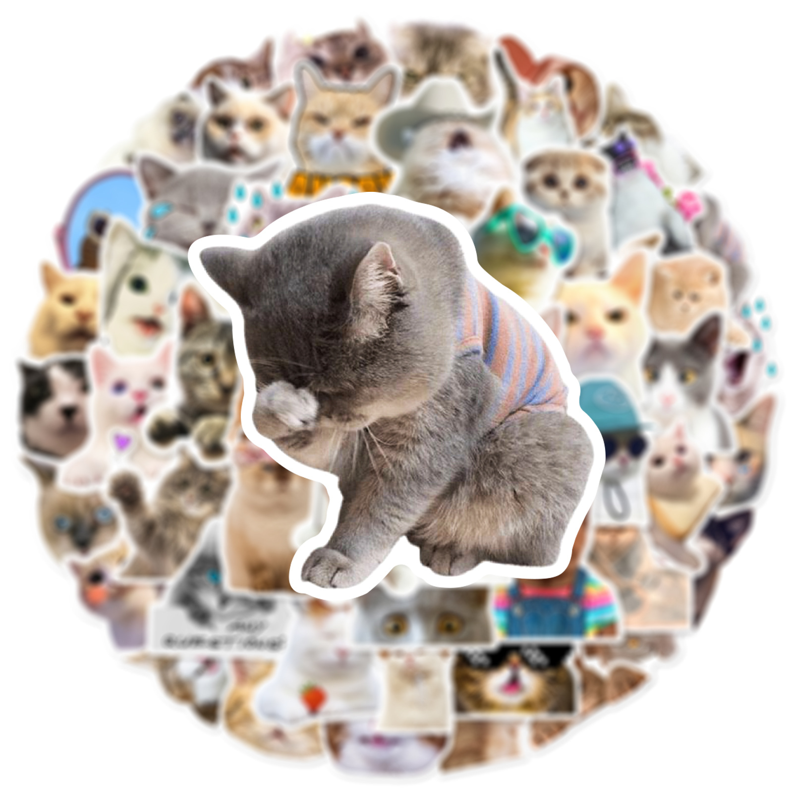 1 Set Cat Graduation Pvc Simple Style Stickers display picture 3