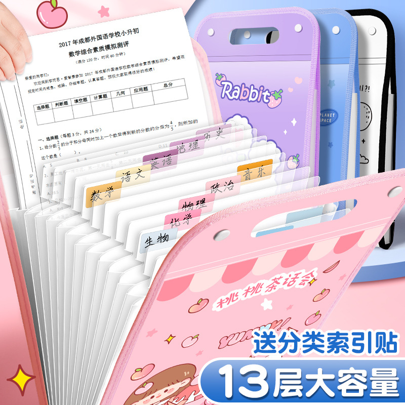 Student Portable Multi-layer Test Paper Classification Document Bag For Girls And Children Cartoon Exam Organ Bag For Stationery Storage