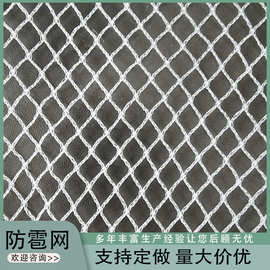 防雹网白色月牙形苹果果园樱桃树防冰网葡萄园蔬菜大棚冰防雹网