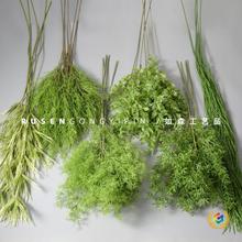 ?��cɭϵ�Gɫϵ�����~�ӻ�Y���b��Ż��ٻ��Gֲ�J���ݻ�