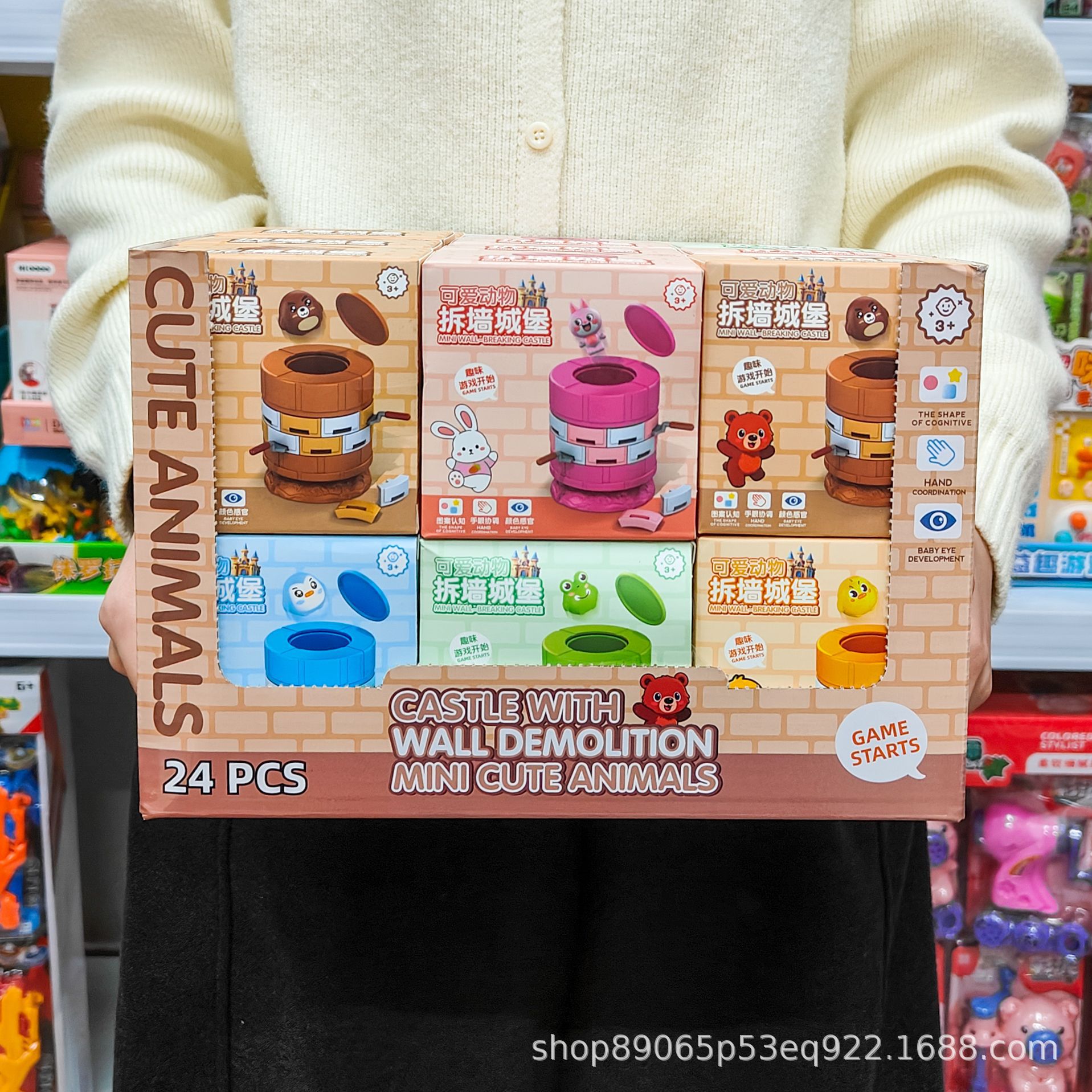 Destroy the Wall Castle [Shoot 24 shots and display box]