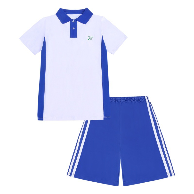 Shenzhen School Uniform Pure Cotton Summer Clothing Middle School Uniform Short-Sleeved Tops Pants Middle School Students Winter Uniforms