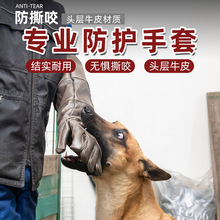 �����Ӻ��ҧ�����^��ţƤ����ҧץ��������ӖȮ����׽���R�߼��L