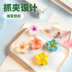 新款外贸批发糖果色鸡蛋花抓夹渐变小苍兰女后脑勺盘发鲨鱼夹发饰