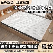 ����Ҭ�ش��|��Ȼ�h��ƫӲ�o��Ҭ�ش��|���������ۯB���׶� ��