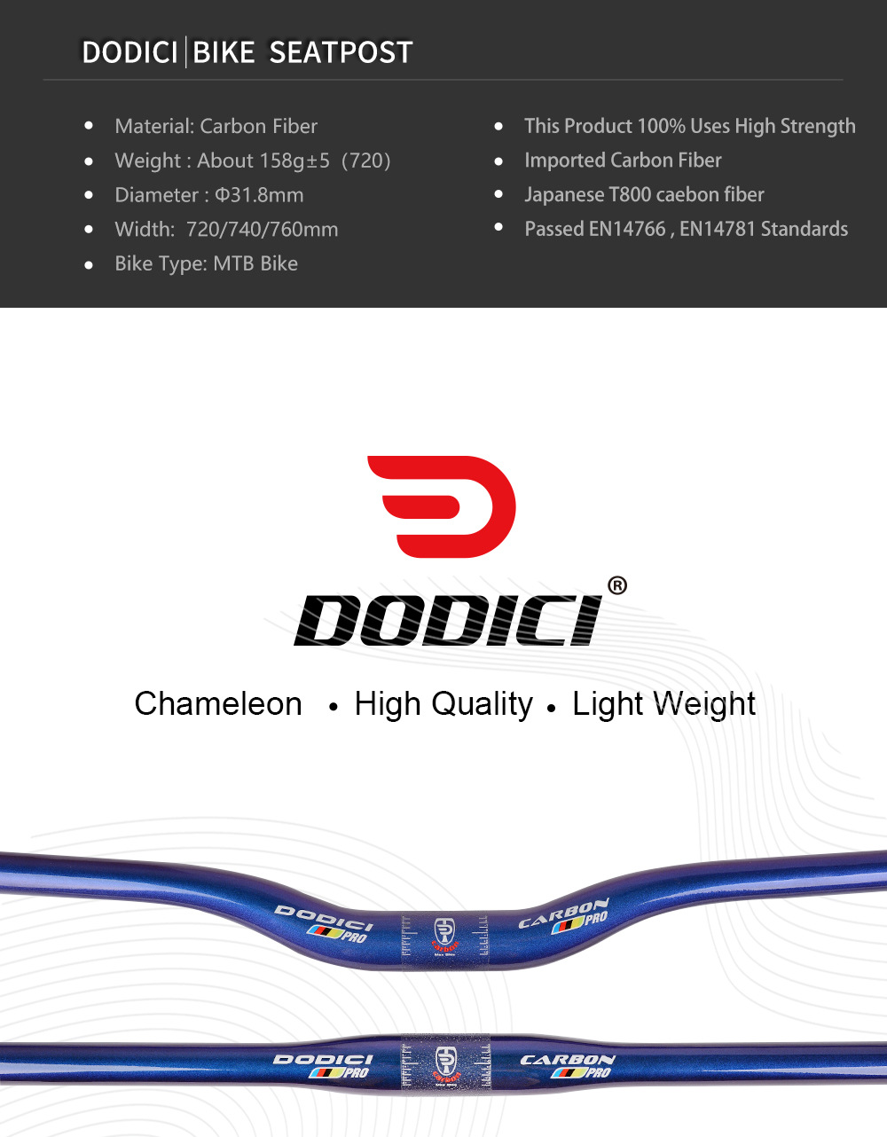 08-DODICI(变色龙车把)31_01.jpg