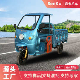 三轮电动车拉货载货载客拉重货农场出口客货两用车新款畅销款带棚