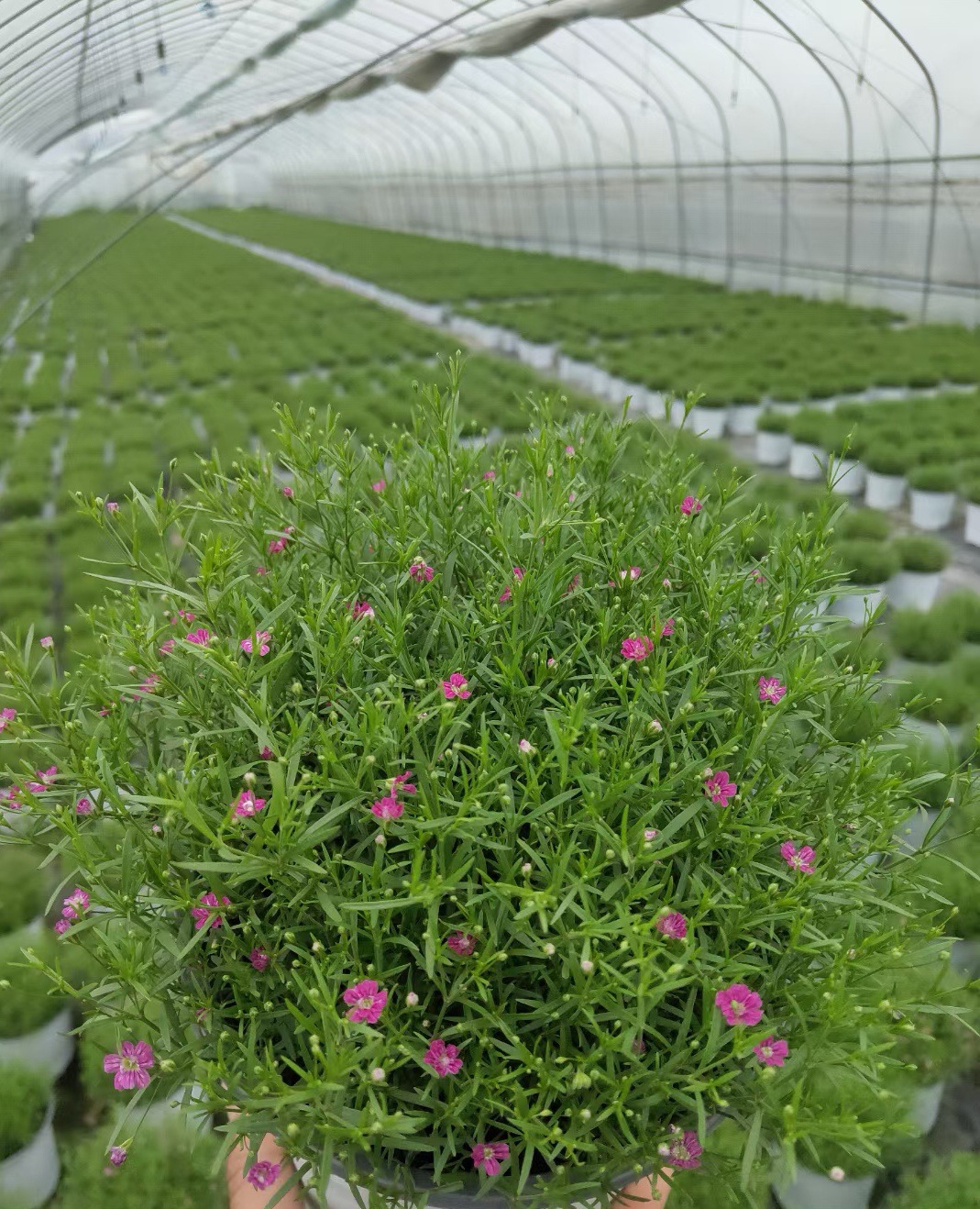 ΢��ͼƬ_20210906113743