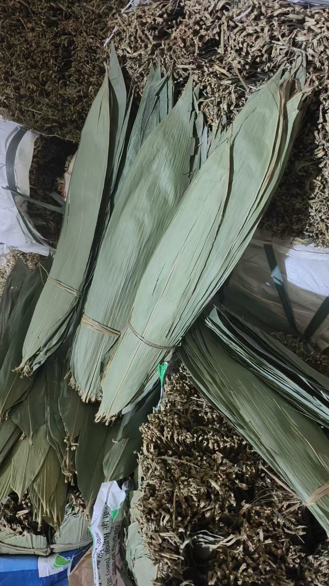 微信图片_20250407091901