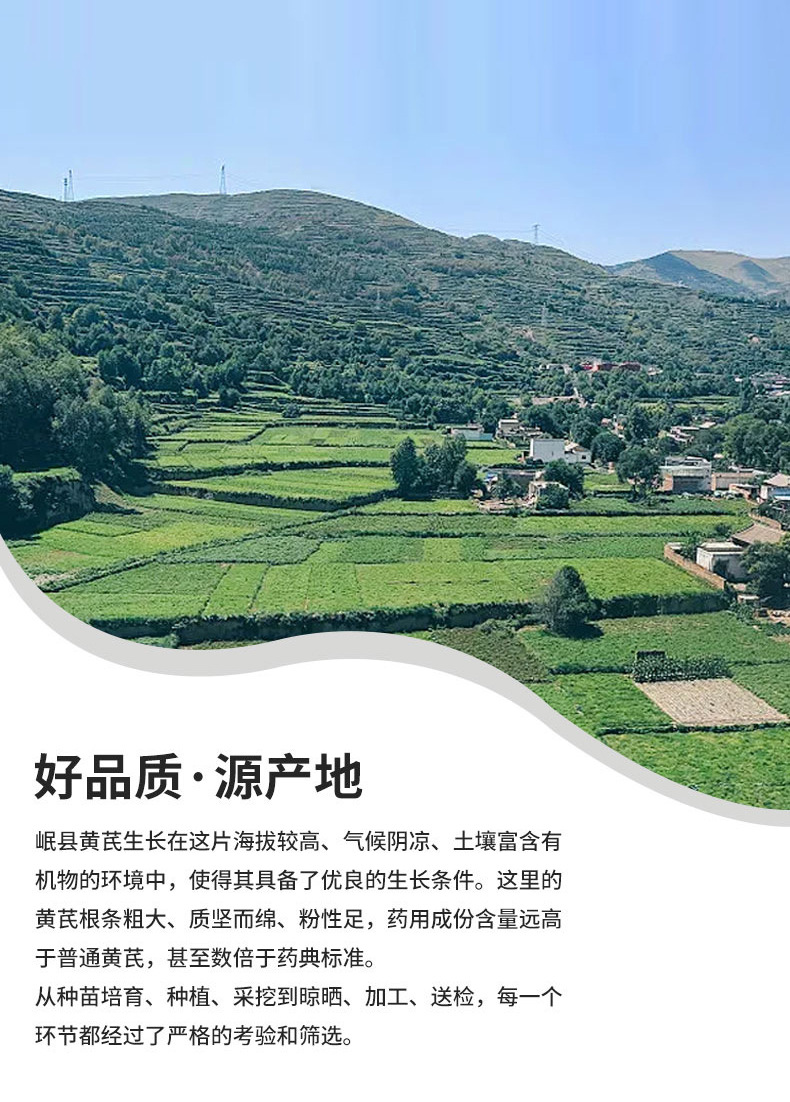 Dried Astragalus from Min County, Gansu, Chinese Medicinal Herb, North Astragalus Slices, Large Pieces of Raw Astragalus, Bulk Supply, Ready Stock, Astragalus Tea detail image