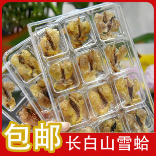 �����L��ɽѩ���͸�؛����ѩ������ֻѩ��ɟ�ľ�Ϝ����l�д���