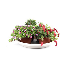 TELSLY�A�����ϻ����бP �Ӻ����Ø�֬���е׵�  ��������ˮ�P