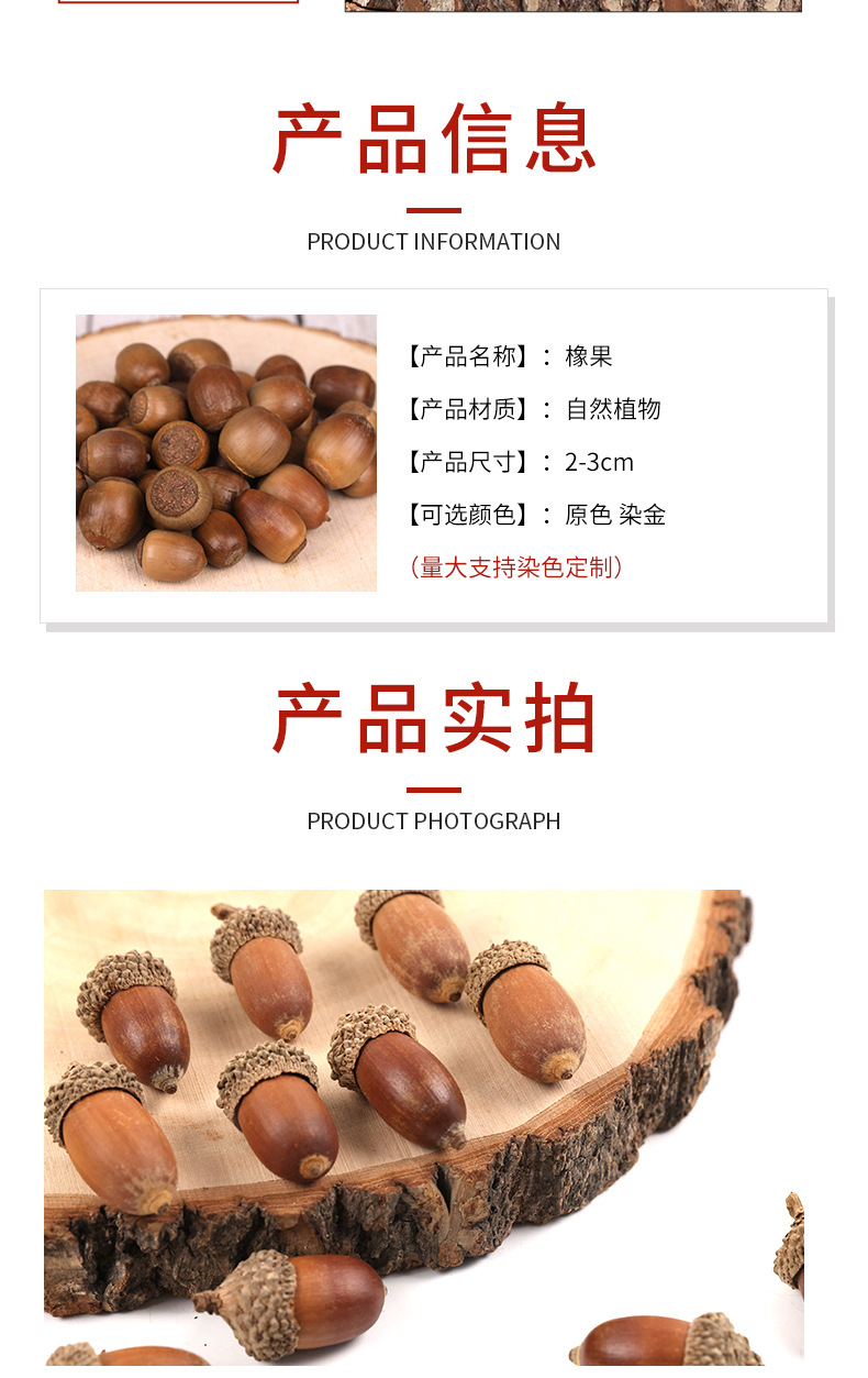 橡果详情_04.jpg