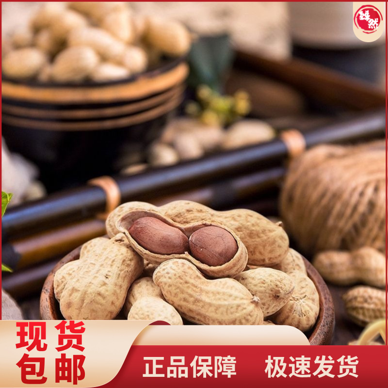 盛兴源陈皮小籽花生咸干185g整箱装坚果炒货休闲网红零食厂家直销