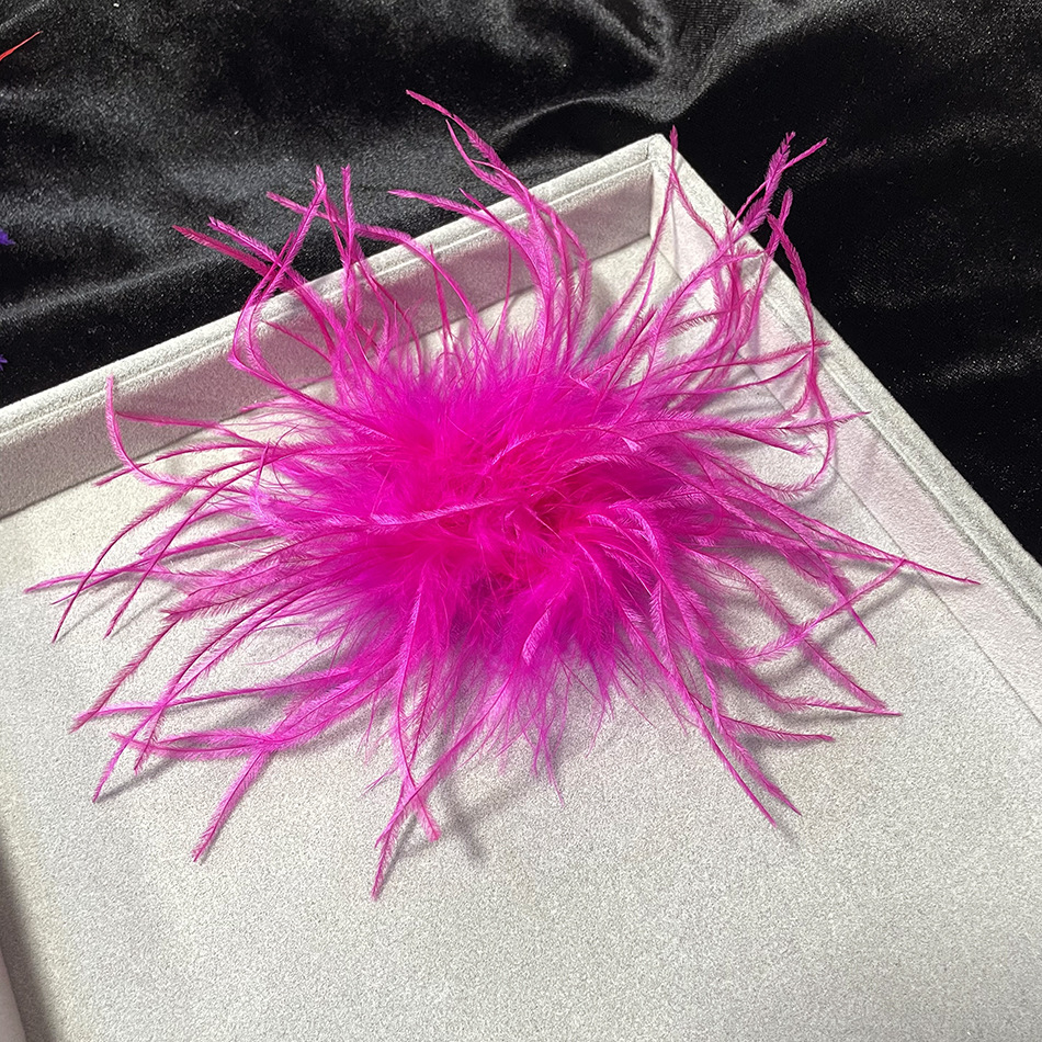Retro Solid Color Feather Unisex Brooches display picture 3