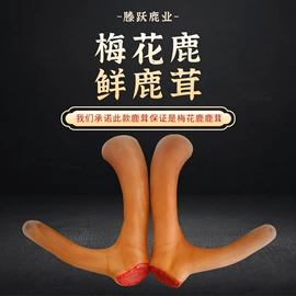 鹿产品;配制酒浸泡酒