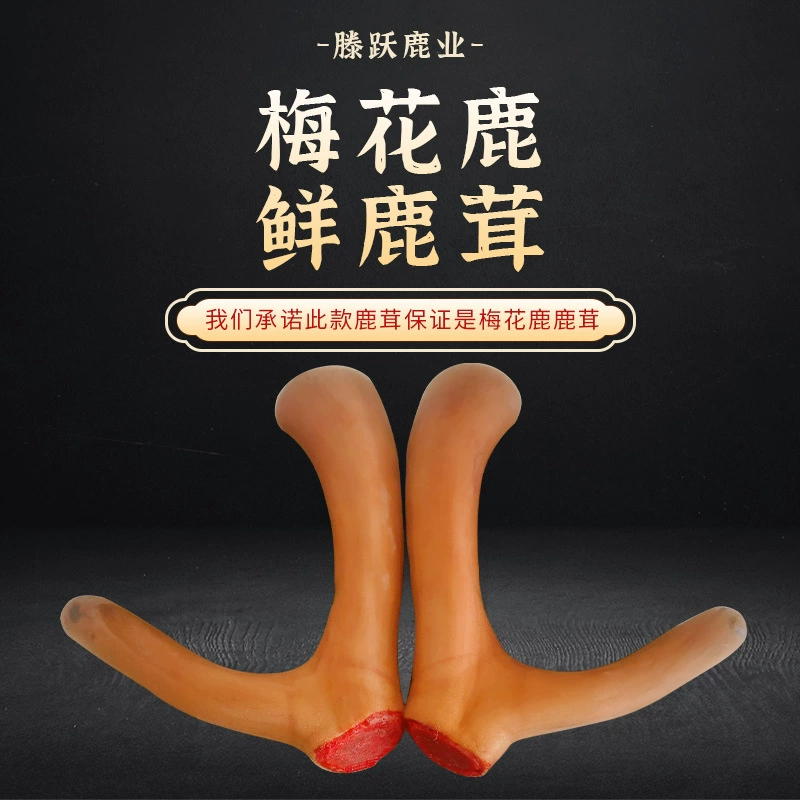 Свежие оленьи рога напрямую с фермы, северо-восточный продукт, цельные свежие оленьи рога с кровью, можно резать ножом, производитель свежих оленьих рогов