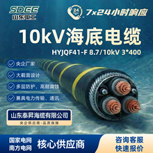 10kV交联聚乙烯绝缘海底电缆 陆岛近海风电电缆 电力传输通信海缆