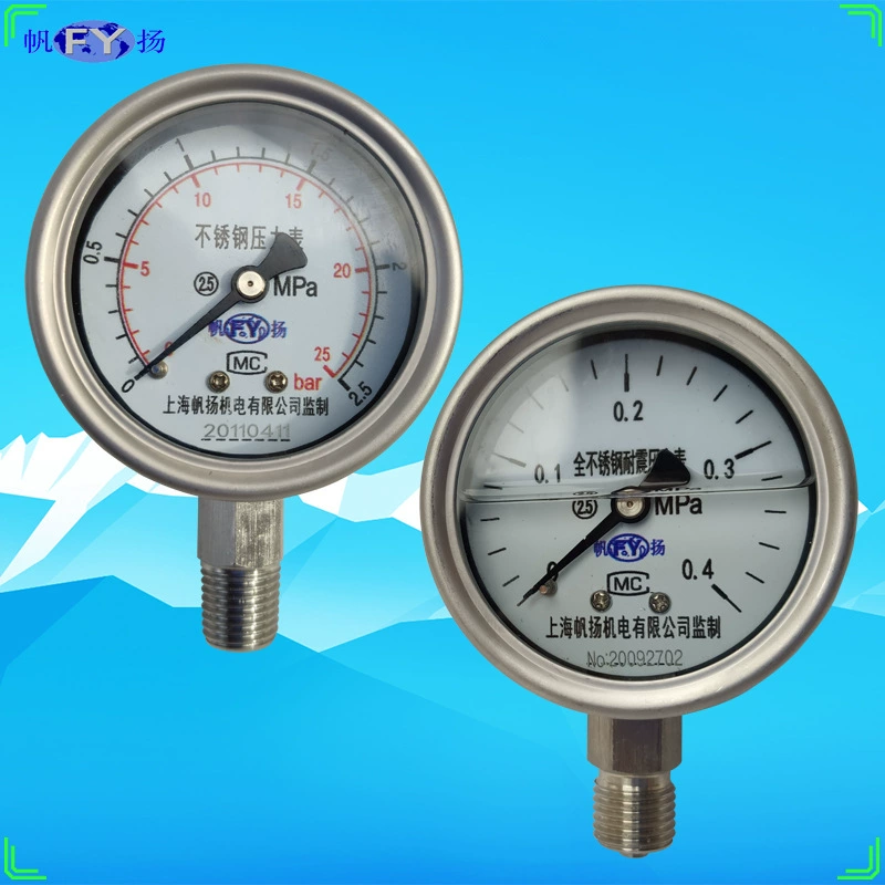 Y-60BF Y-100BF Y-150BF Сейсмический манометр из нержавеющей стали на приборном заводе BFZ прибора