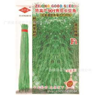 �T�����N�I�S��ֱ��������ش���ˈ@�̨ �ָ��P901��Ƥ�L����