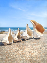 ?��Ȼ����ؐ���������ղ��^�p�˱��Ҿߔ[���b��~���쾰�ղضY