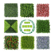 �������⾀����ֲ�ˮ�����m�ݠ��������ٲݼٻ��Gֲ�����b�